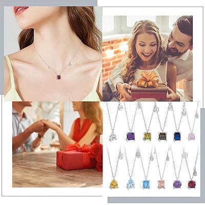 925 Sterling Silver Zircon Pendant Necklace 12 Constellation Pendant Necklace Jewelry Anniversary Birthday Gifts for Women Men JN1088A-1
