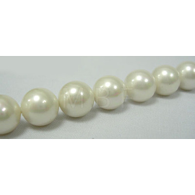 Polished Shell Pearl Round Beads X-SP12MM701-1