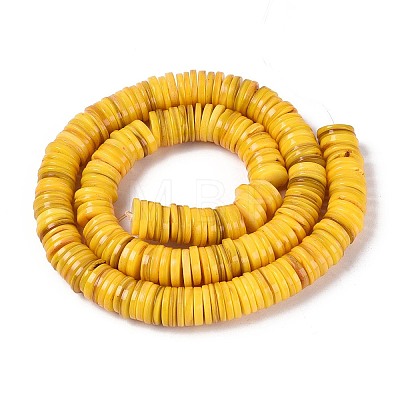 Natural Freshwater Shell Beads Strands SHEL-N037-03A-06-1