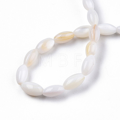 Natural Freshwater Shell Beads Strands X-SHEL-N026-212-A01-1