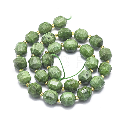 Natural Diopside Beads Strands G-K303-A10-12mm-1