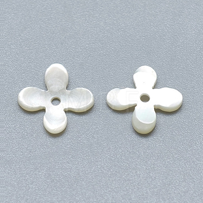 Natural White Shell Beads SSHEL-S260-056B-01-1
