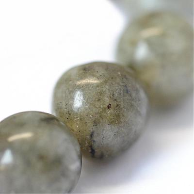 Natural Labradorite Round Bead Strands G-E334-6mm-19-1