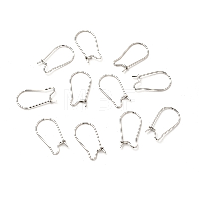 316 Surgical Stainless Steel Hoop Earrings Findings Kidney Ear Wires STAS-E009-6-1