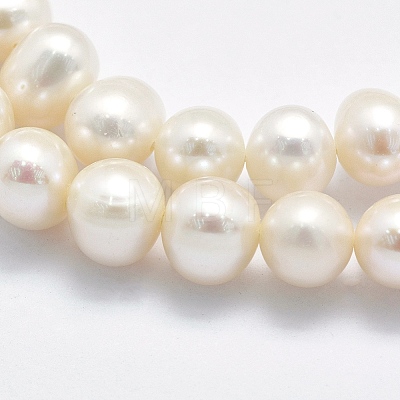 Natural Cultured Freshwater Pearl Beads Strands PEAR-F007-56-01-1