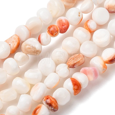 Natural Sea Shell Beads Strands SHEL-K006-77-1