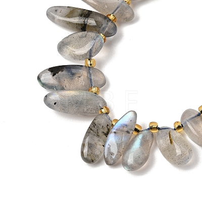 Natural Labradorite Beads Strands GG-CBADF20-A05-1