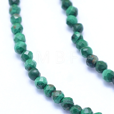Natural Malachite Beads Strands G-I279-E15-01-1