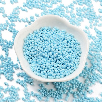 Baking Paint Glass Seed Beads X1-SEED-A033-05P-1