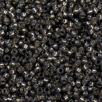 MIYUKI Round Rocailles Beads X-SEED-G009-RR0650-1
