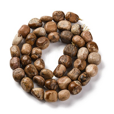 Natural Picture Jasper Beads Strands G-G146-A01-02-1