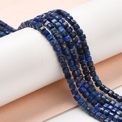 Natural Lapis Lazuli Beads Strands G-E608-B12-1