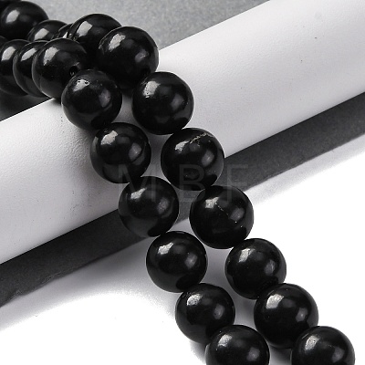 Natural Shungite Beads Strands G-M353-A04-12mm-1