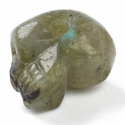 Natural Labradorite & Tiger Eye & Amethyst & Rose Quartz & Lapis Lazuli Beads G-B003-09-1