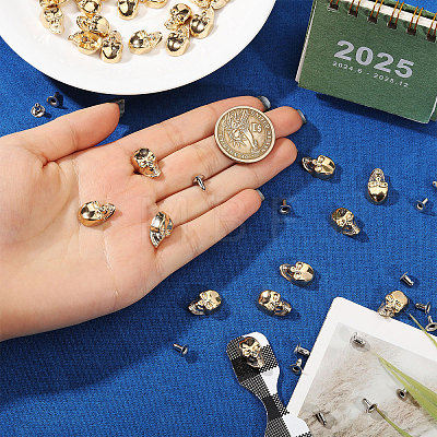 50Pcs Skull Alloy Rivets FIND-CA0011-72A-G-1