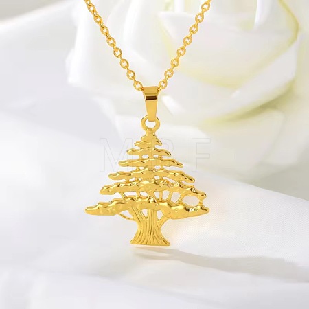 304 Stainless Steel Pendant Necklaces for Women WGAB0B0-01-1