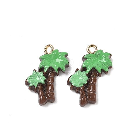 Opaque Resin Pendants LS-RESI-G120-01E-1