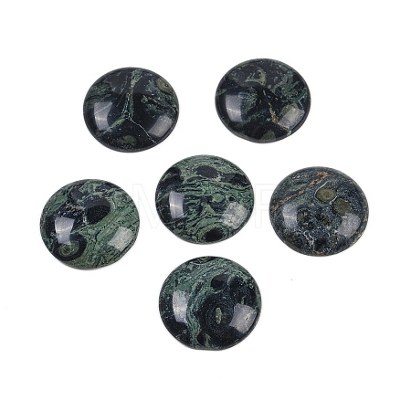 Natural Kambaba Jasper Cabochons G-H1596-FR-25mm-06-1
