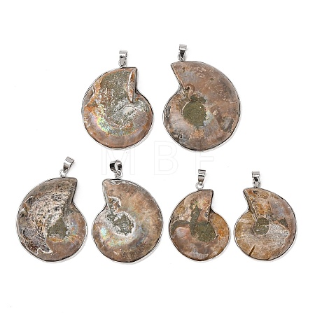 Snail Fossil Pendants G-D051-1A-1