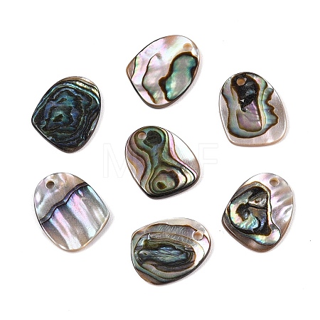 Natural Paua Shell Nuggets Charms SHEL-T020-11B-1