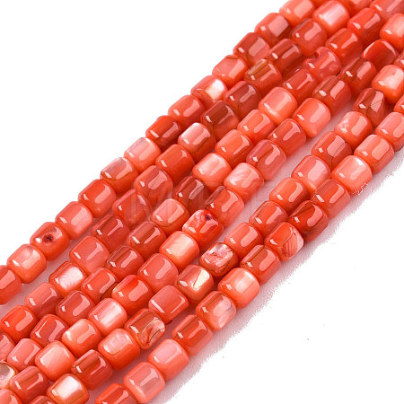 Natural Freshwater Shell Beads Strands X-SHEL-N003-33-A06-1