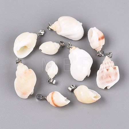 Brass & Natural Spiral Shell Pendants SHEL-Q029-13P-1