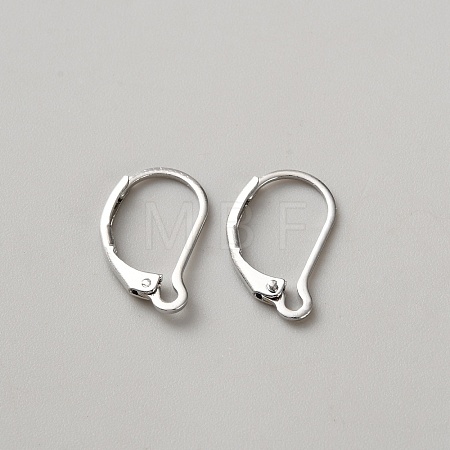 Brass Hoop Earring Findings DIY-WH0888-510P-1