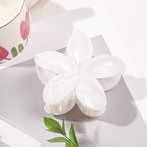 Plastic Claw Hair Clips for Women Girls PW-WGB2E8F-06-1