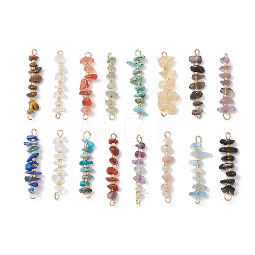 16Pcs 16 Styles Natural Mixed Stone Chip and Glass Seed Beaded Connector Charms PALLOY-JF03328-01-1