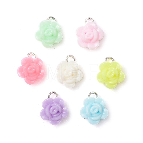 Opaque Acrylic Pendants PALLOY-JF03305-01-1