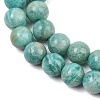 Natural Amazonite Beads Strands G-F461-12-10mm-01-7