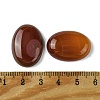 Natural Red Agate Cabochons G-L601-03D-01-3