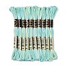10 Skeins 6-Ply Polyester Embroidery Floss OCOR-K006-A26-1