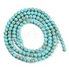 Synthetic Turquoise Beads Strands G-U004-02E-3