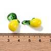 Fruit Food Glass Pendant X-RESI-U001-03A-3