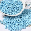 6/0 Opaque Baking Paint Glass Seed Beads X1-SEED-M012-02A-13-1