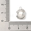 Rack Plating Brass Micro Pave Cubic Zirconia Charms KK-A229-15P-3