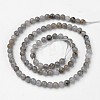Natural Labradorite Beads Strands G-D809-07-4mm-2