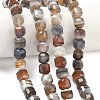 Natural Botswana Agate Beads Strands G-C267-A07-1