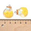 Transparent Resin Pendants RESI-K203-19-4