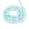 Dyed Natural White Jade Beads Strands G-T143-17C-2