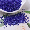 MIYUKI Delica Beads SEED-JP0008-DB0216-1