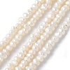 Natural Cultured Freshwater Pearl Beads Strands PEAR-I007-07E-01C-2