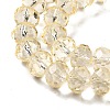 Transparent Baking Paint Glass Beads Strands LS-DGLA-A034-T8mm-D02-3