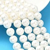 Shell Pearl Beads Strands BSHE-K015-10mm-03-5