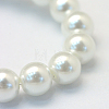 Baking Paint Pearlized Glass Pearl Round Bead Strands HY-Q003-14mm-01-3