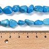 Natural Howlite Beads Strands G-P497-01E-37-5