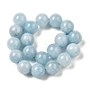 Dyed Natural Malaysia Jade Beads Strands G-G021-02C-20-2