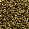 TOHO 6/0 Round Beads SEED-XTR06-1209-3