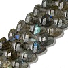 Natural Labradorite Beads Strands G-P544-E01-01-1